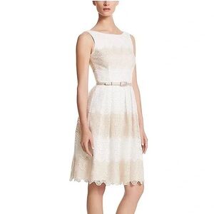 White House Black Market Lace Midi Dress in White and Tan